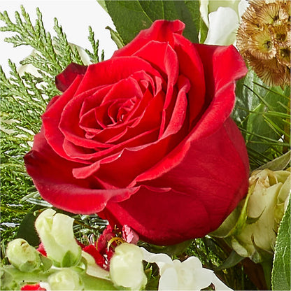 Deck the Halls Bouquet –  The Eclectic Florist, Northwood NH