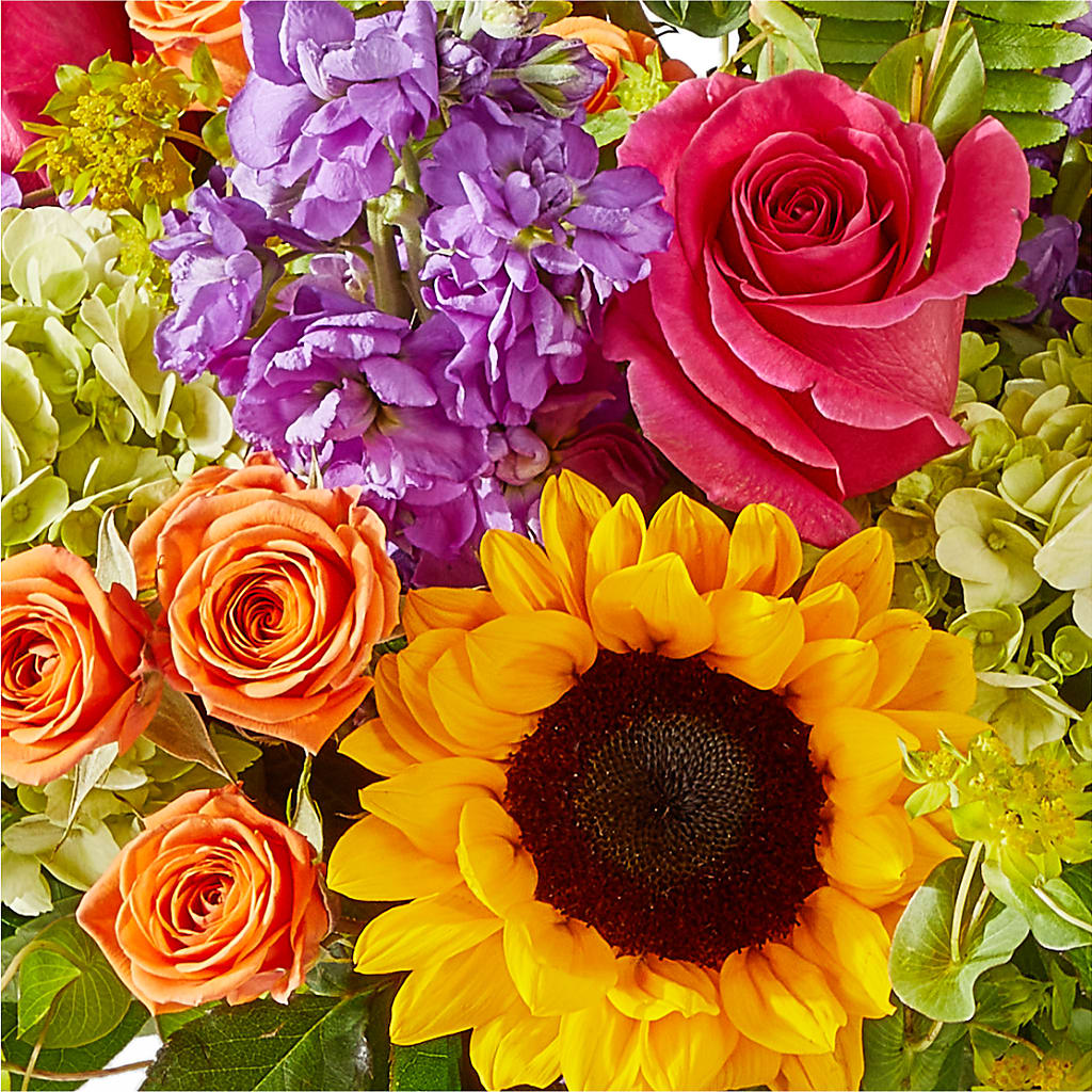 Vibrant Greetings Bouquet –  The Eclectic Florist, Northwood NH