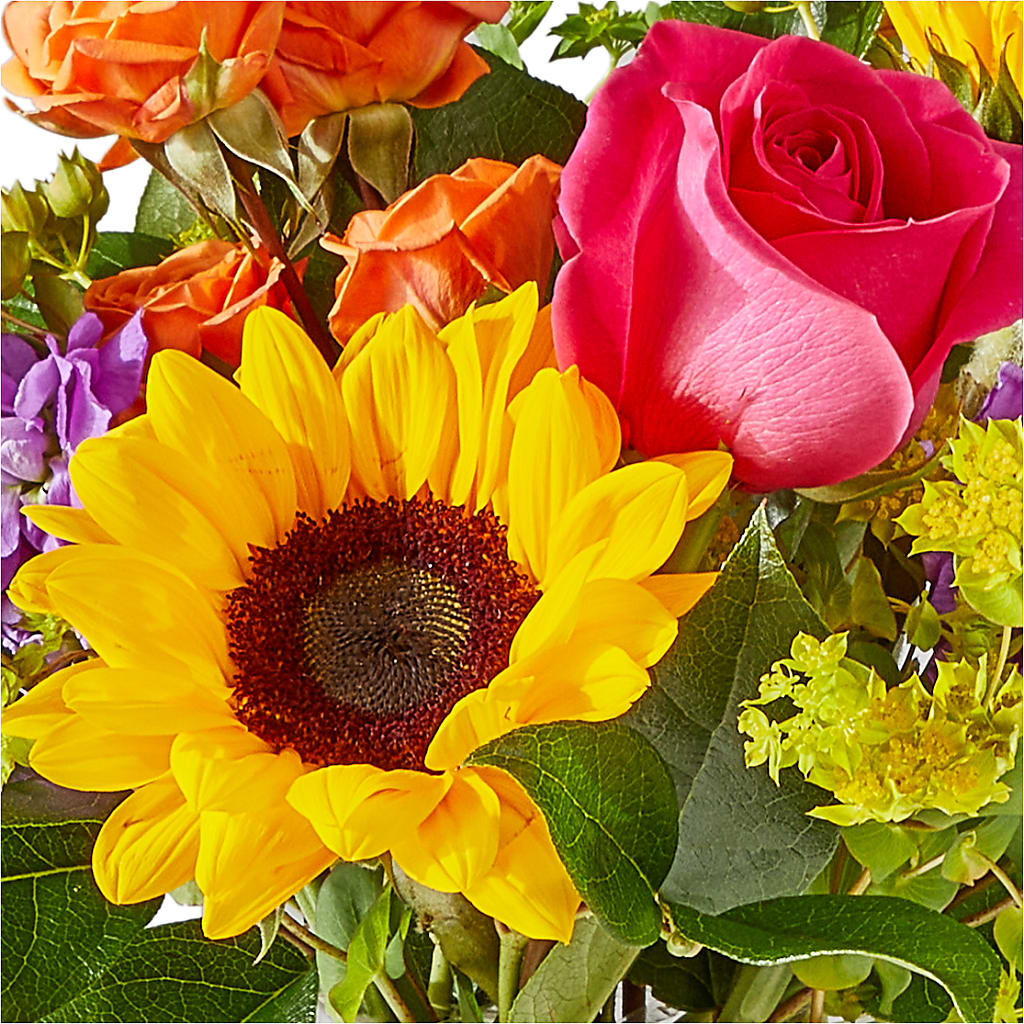 Vibrant Greetings Bouquet –  The Eclectic Florist, Northwood NH