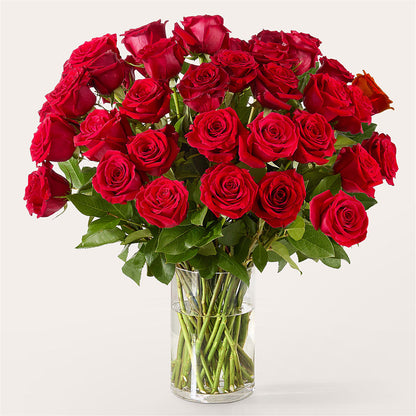 The One Red Rose Bouquet –  The Eclectic Florist, Northwood NH