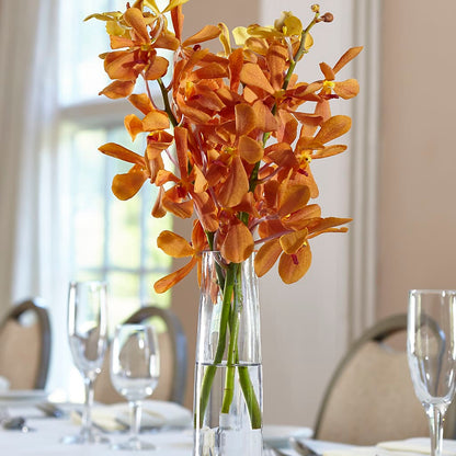 Orange Mokara Bud Vase –  The Eclectic Florist, Northwood NH