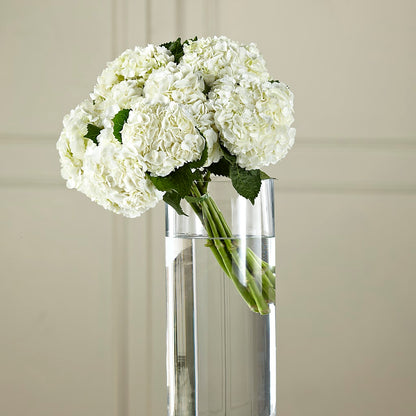 White Hydrangea Hand-Tied Bouquet –  The Eclectic Florist, Northwood NH