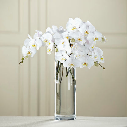 White Phalaenopsis Bouquet –  The Eclectic Florist, Northwood NH